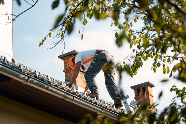 Best Roof Waterproofing Services  in Orchard Homes, MT