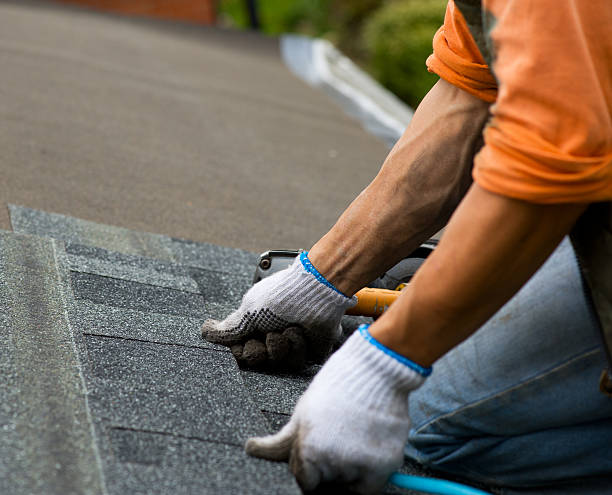 Best Metal Roofing Contractor  in Orchard Homes, MT